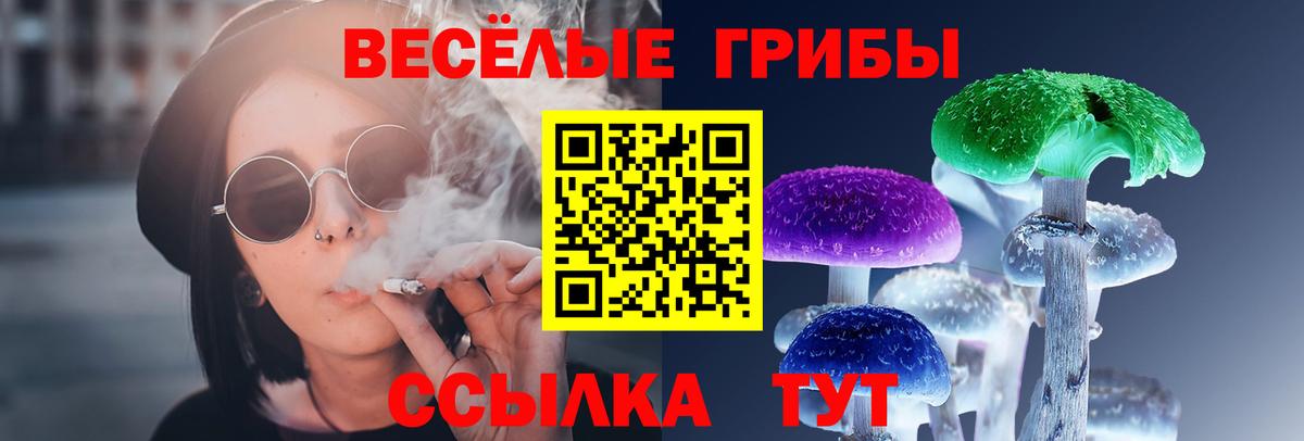 Галлюциногенные грибы Psilocybe Кореновск